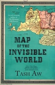 Cover von Map of the Invisible World