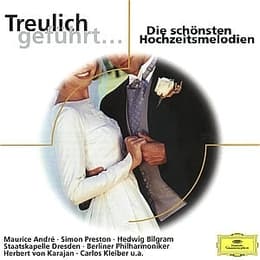 Cover von Treulich geführt