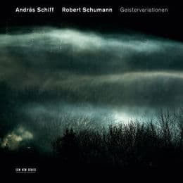 Cover von Geistervariationen