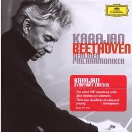 Cover von The Symphonien