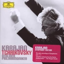 Cover von The Symphonies