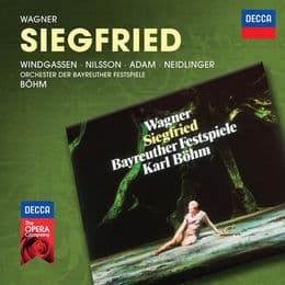 Cover von Siegfried