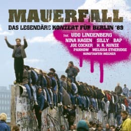 Cover von Mauerfall