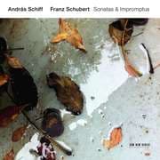 Cover von Sonatas & Impromptus