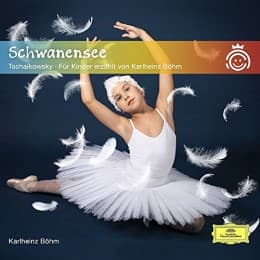 Cover von Schwanensee