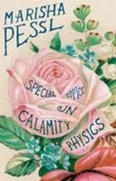 Cover von Special Topics in Calamity Physics