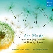 Cover von Air Music