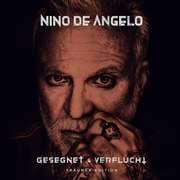Cover von Gesegnet und verflucht