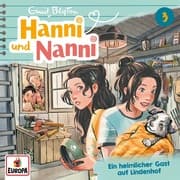 Cover von Hanni und Nanni 3
