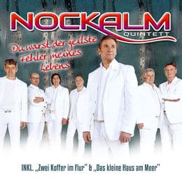 Cover von Du warst der geilste Fehler meines Lebens
