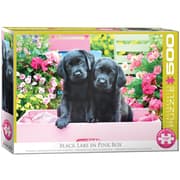 Cover von Black Labs in Pink Box