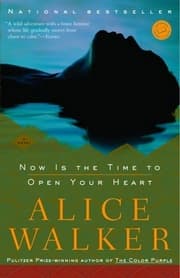 Cover von Now Is the Time to Open Your Heart