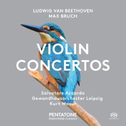 Cover von Violin Concertos