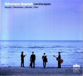 Cover von Landscapes
