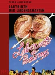 Cover von Labyrinth der Leidenschaften - Laberinto de Pasiones
