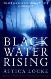 Cover von Black Water Rising