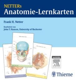 Cover von Netter's Anatomie-Lernkarten