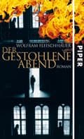 Cover von Der gestohlene Abend
