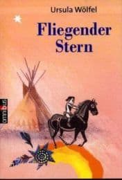 Cover von Fliegender Stern