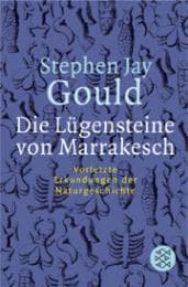 Cover von Die Lügensteine von Marrakesch