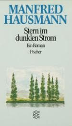 Cover von Stern im dunklen Strom
