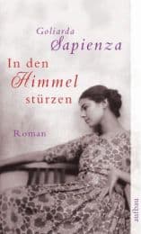 Cover von In den Himmel stürzen
