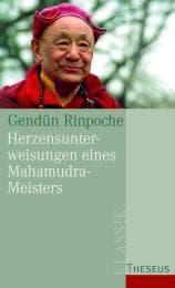 Cover von Herzensunterweisungen eines Mahamudra-Meisters