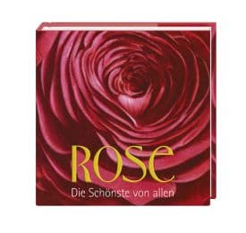 Cover von Rose