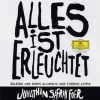 Cover von Alles ist erleuchtet