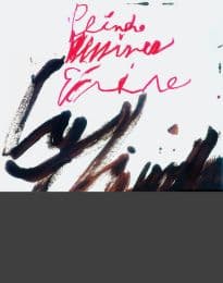 Cover von Cy Twombly