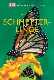 Cover von Schmetterlinge