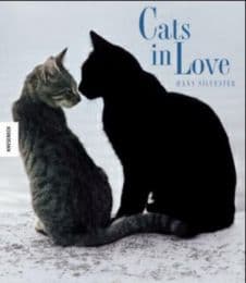 Cover von Cats in Love