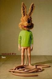 Cover von Testcard 17