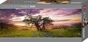 Cover von Oak Tree Puzzle