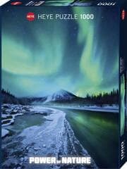 Cover von Northern Lights