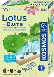 Cover von Lotus-Blume