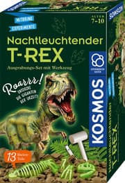 Cover von Nachtleuchtender T-REX