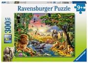 Cover von Abendsonne am Wasserloch