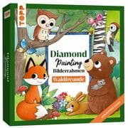 Cover von Diamond Painting Bilderrahmen