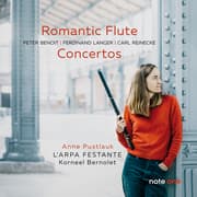 Cover von Romantic Flute Concertos