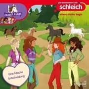 Cover von Folge 20: Eine falsche Entscheidung