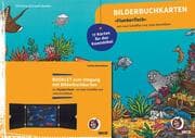 Cover von Bilderbuchkarten 'Flunkerfisch' von Axel Scheffler und Julia Donaldson