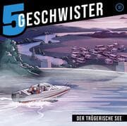 Cover von 5 Geschwister 51 - Der trügerische See