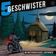 Cover von 14: Im unterirdischen Labyrinth