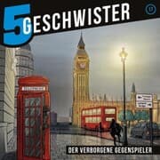 Cover von 17: Der verborgene Gegenspieler