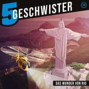 Cover von 29: Das Wunder von Rio