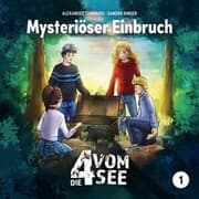 Cover von 01: Mysteriöser Einbruch