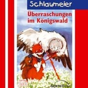 Cover von 03: Überraschungen im Königswald