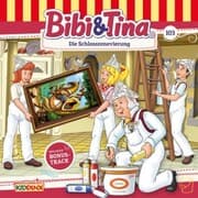 Cover von Die Schlossrenovierung