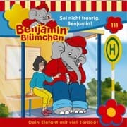 Cover von Sei nicht traurig, Benjamin!